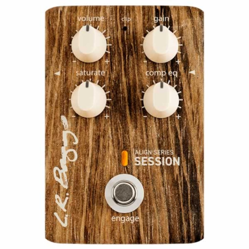 画像2: L.R.Baggs　Align SESSION (2)