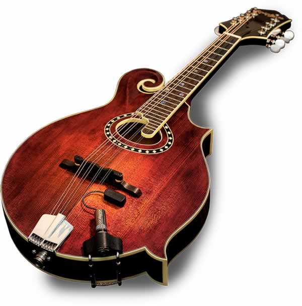 L.R.Baggs Radius Mandolin Pickup J'z Shop(ジェイズショップ)