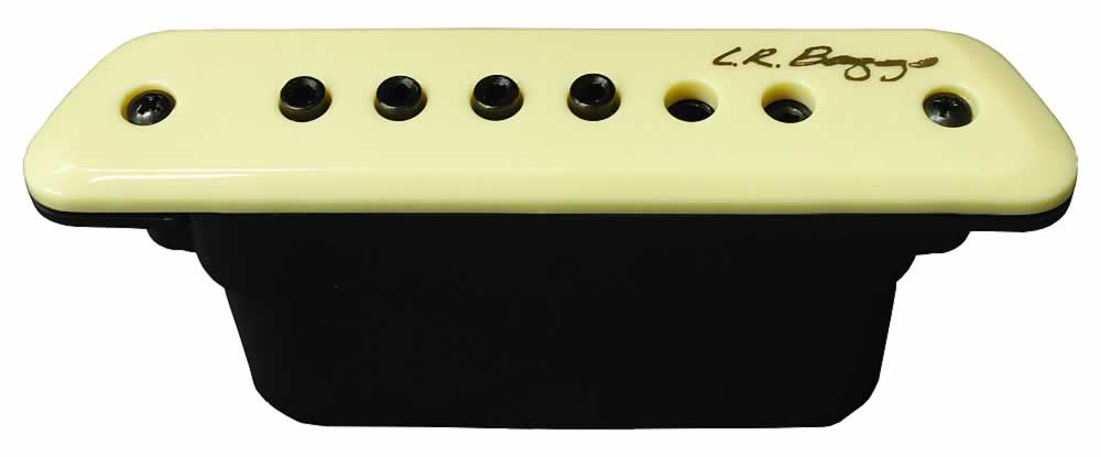 L.R.Baggs M1 Passive