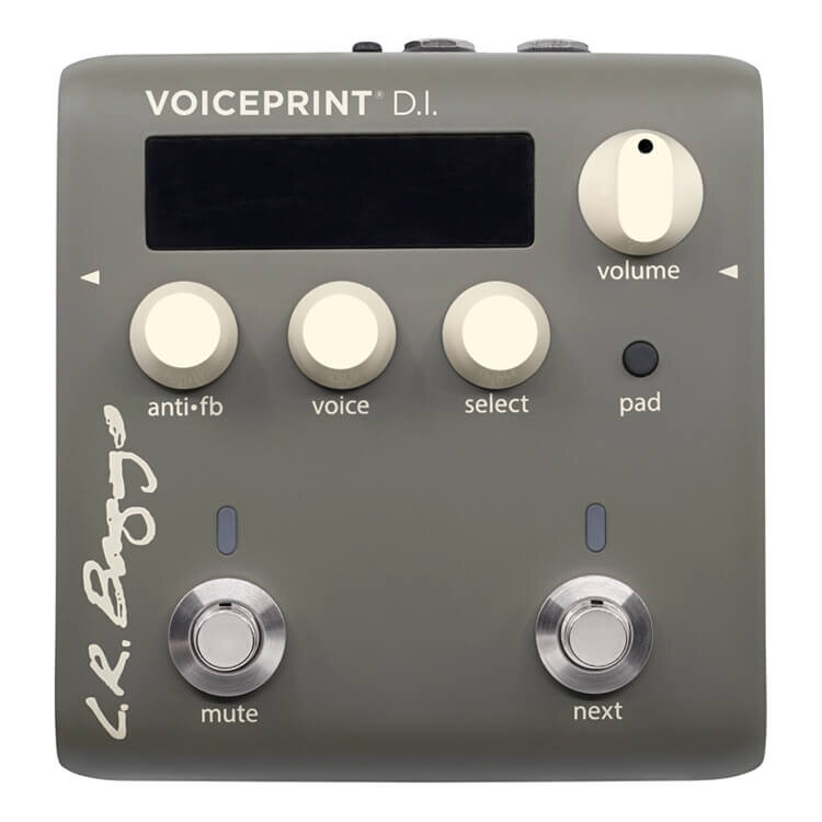 L.R.Baggs　VOICEPRINT DI