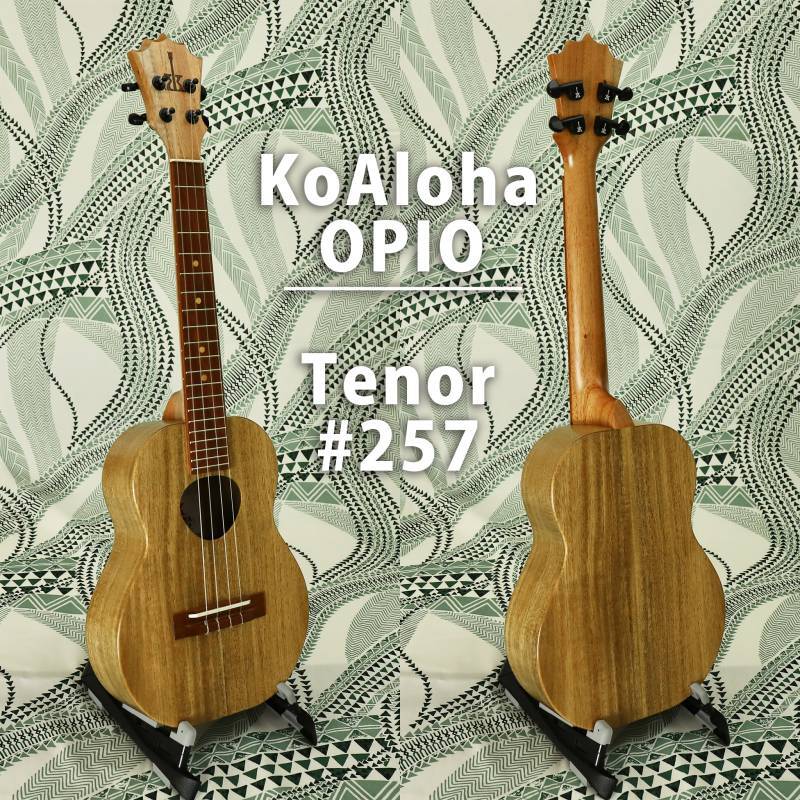 画像1: KoAloha KTO-10  #257 OPIO Tenor (1)