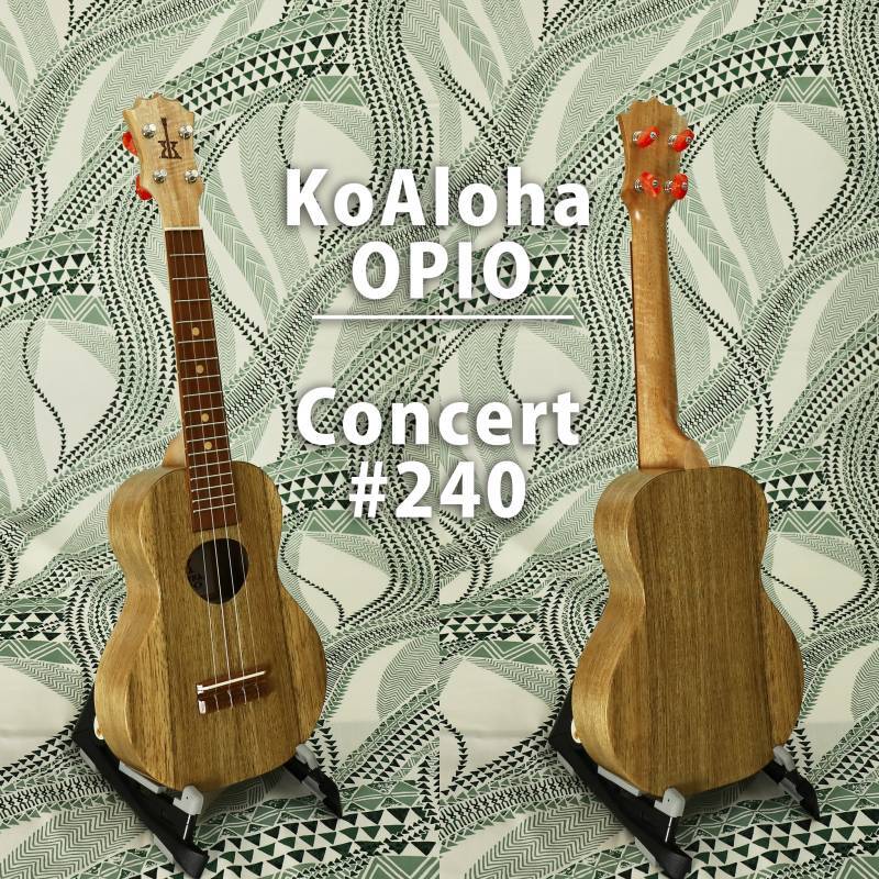 画像1: KoAloha KCO-10  #240 OPIO Concert (1)
