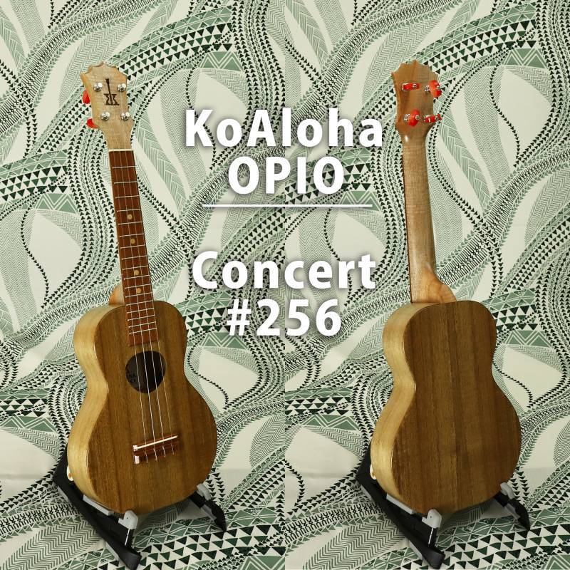 画像1: KoAloha KCO-10  #256 OPIO Concert (1)