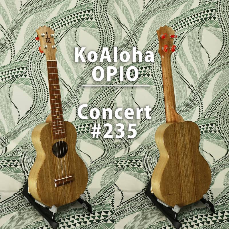 画像1: KoAloha KCO-10  #235 OPIO Concert (1)