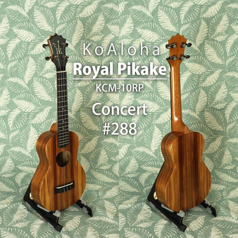 画像1: KoAloha KCM-10RP #288 Royal Pikake Concert (1)