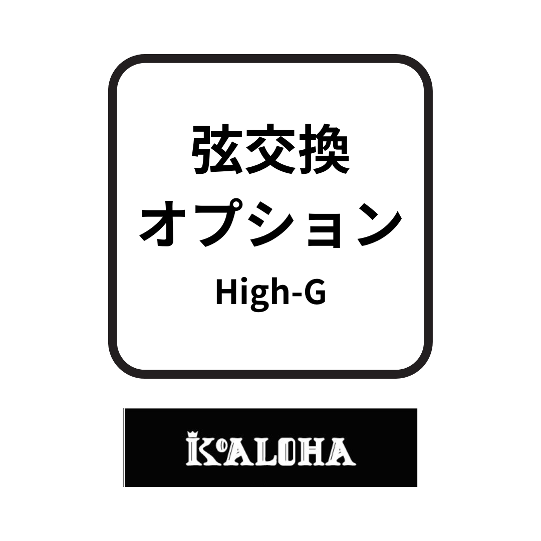 画像1: High-G仕様変更オプション (KoAloha専用) (1)