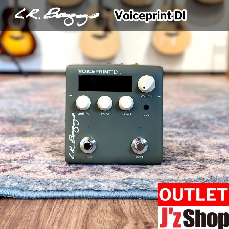 ギター L.R. Baggs VOICEPRINT D.I. Voiceprint DI Acoustic Guitar Impulse Response Pedal — LR Baggs